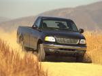 Ford F-150 Regular Cab 1996 года